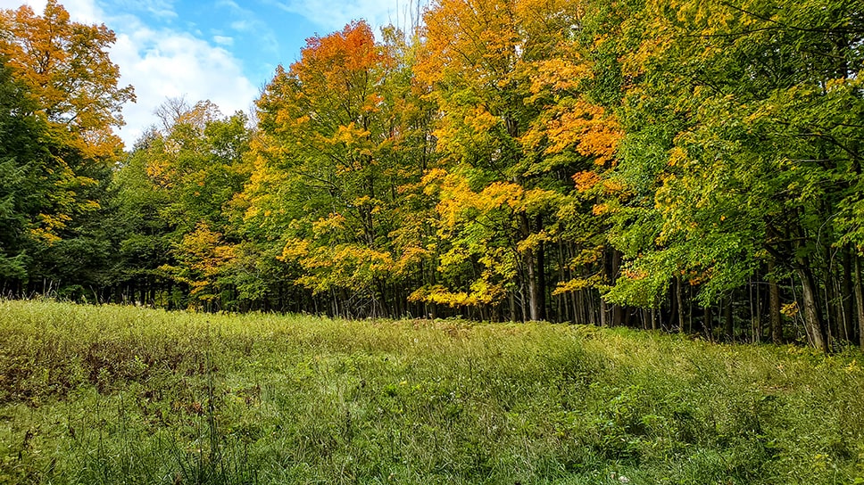 Build on Your Land